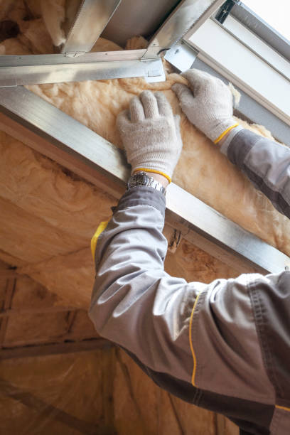 Best Types of Insulation in Swisher, IA